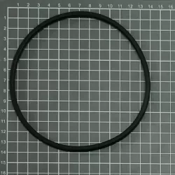 Ersatzteil ESPA Pumpe Vorfilter O-Ring alt