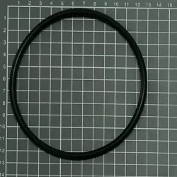 ESPA Pumpe Ersatzteil Neuer Vorfilter O-Ring 214330