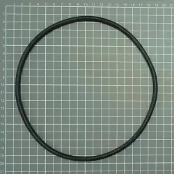 Replacement filter Astralpool Plastic band + gasket