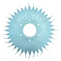 Ersatzteile für Poolreiniger Zodiac Disc Pacer