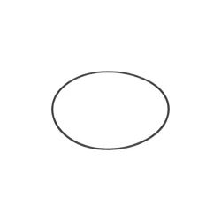 Astralpool Ersatz O-Ring-Abdeckung für das Wahlventil 2" 4404120053