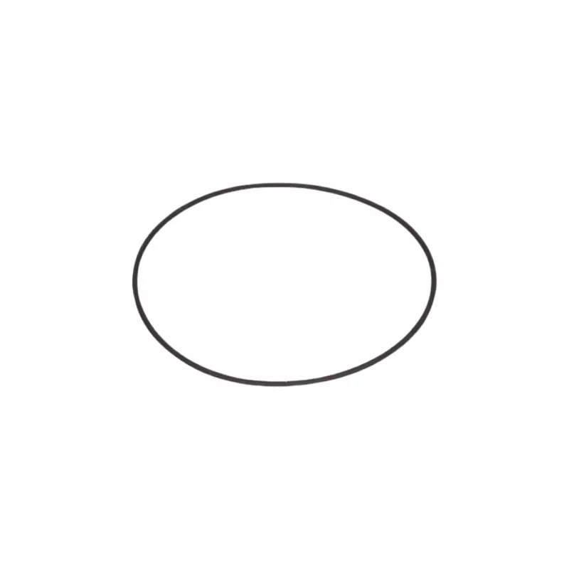 Astralpool Sostituzione del coperchio O-ring della valvola selettrice 2" 4404120053