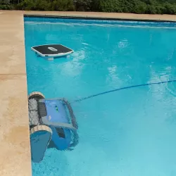 Dolphin Skimmi Limpador de Superfícies de Piscina