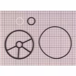 Recambio válvula selectora Astralpool Juntas 4404120096