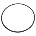 Ersatzfilter ESPA Ersatz Filterdeckeldichtung 0000129099
