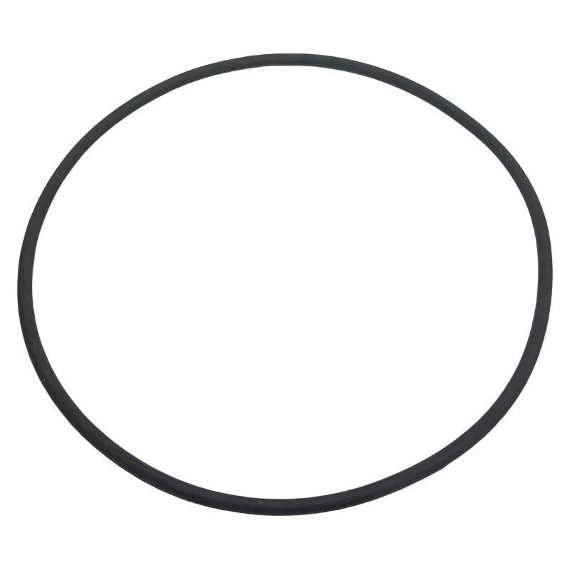 Spare ESPA filter replacement Cover gasket 0000129099