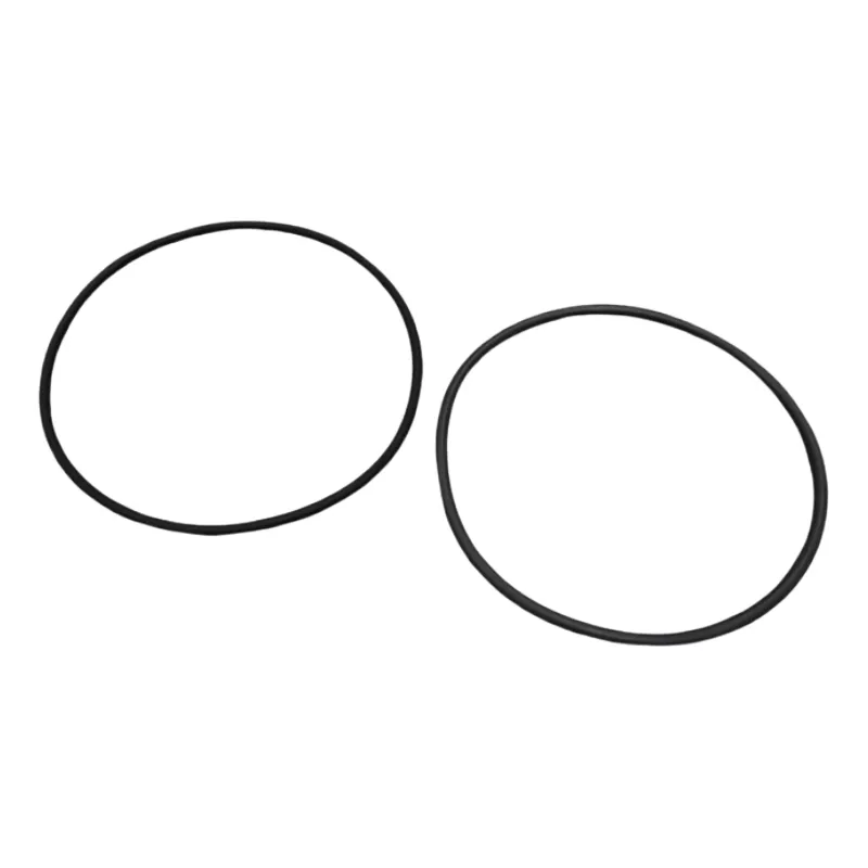 Vervangingsfilter Astralpool O-ring (2 stuks) 4404090103
