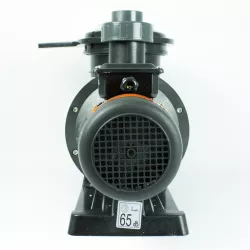 Bomba Alaska plus 1 CV 230 V Tri