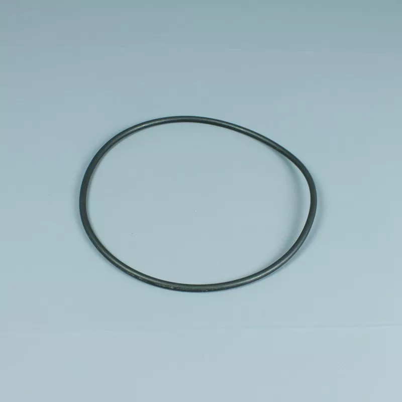 Junta tapa filtro para Neptuno Cicl