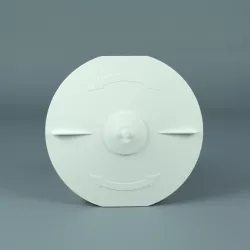 Skimmer recambio tapa cesto con tap