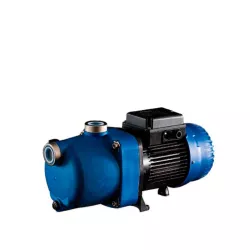 Bomba de presion polaris