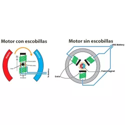 Limpiafondos automatico Typhoon 4