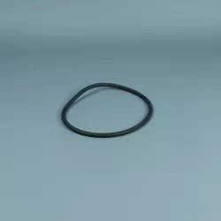 Junta prefiltro bomba Astralpool