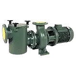 Centrifugal pool pumps
