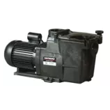Ersatzteilpumpe Hayward Super Pump