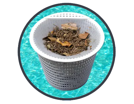 Cepillo activo Dolphin Carrera 30 El Dolphin Carrera 30 trae un cepillo activo en la parte delantera y otro en la trasera. Además, el cepillo trasero incorpora dos anillos de PVA que garantizan una mayor adherencia así como una limpieza más exigente de la piscina.